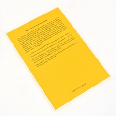 I. Posselt: Die Verfassung der Brüdergemeine 1727-1775